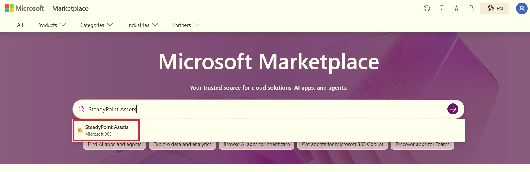 Microsoft AppSource search results for SteadyPoint Assets