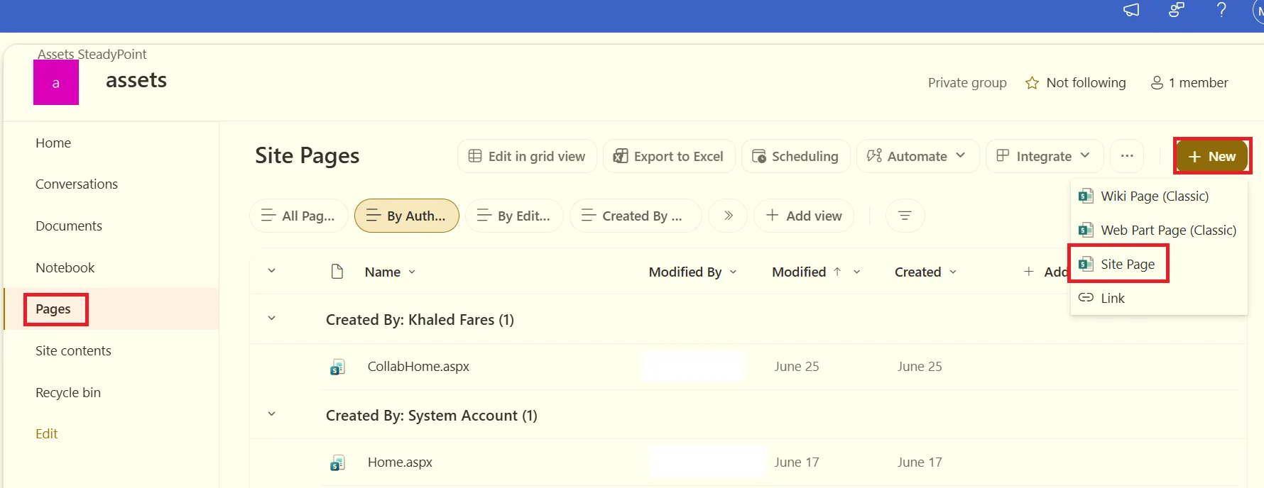 SharePoint Site Pages library with New Site Page option