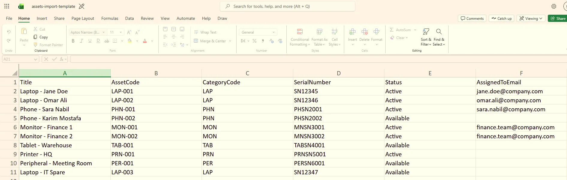 CSV template opened in Excel showing asset columns